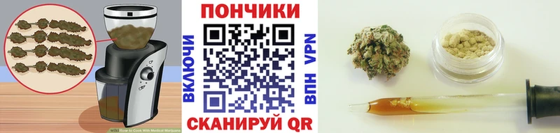 Купить  Павловский Посад  Cannafood конопля 