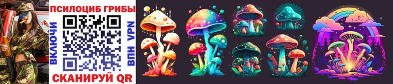Галлюциногенные грибы MAGIC MUSHROOMS  Купить где  Павловский Посад 